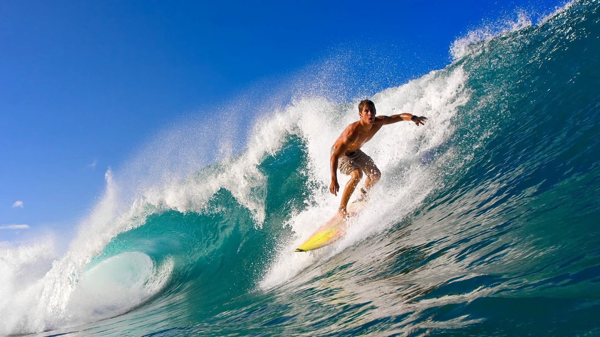 开云-比赛直播:本周末焦点赛事全程回放,今日焦点赛事,本场分析